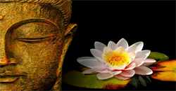 Cách sống an vui và hạnh phúc qua lời Phật dạy
